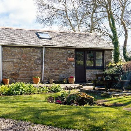 Cosy Cottage In The Beautiful Lamorna Valley - Walk To The Pub & Sea Paul Eksteriør bilde